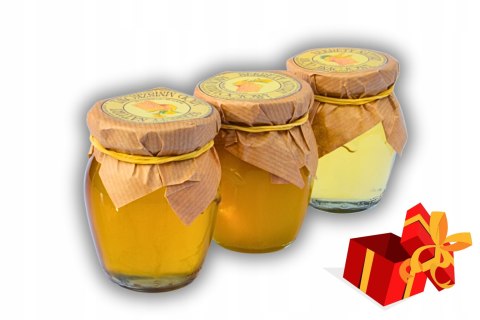 Naturalny Miód Nawłociowy 200g Idealny prezent na każdą okazję nawłoć